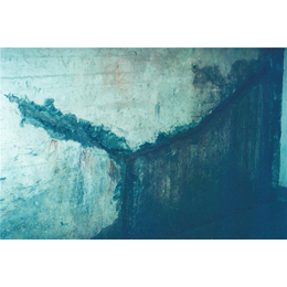 南京百樂建材 專業防水工程材料與安徽防水材料的全面解析